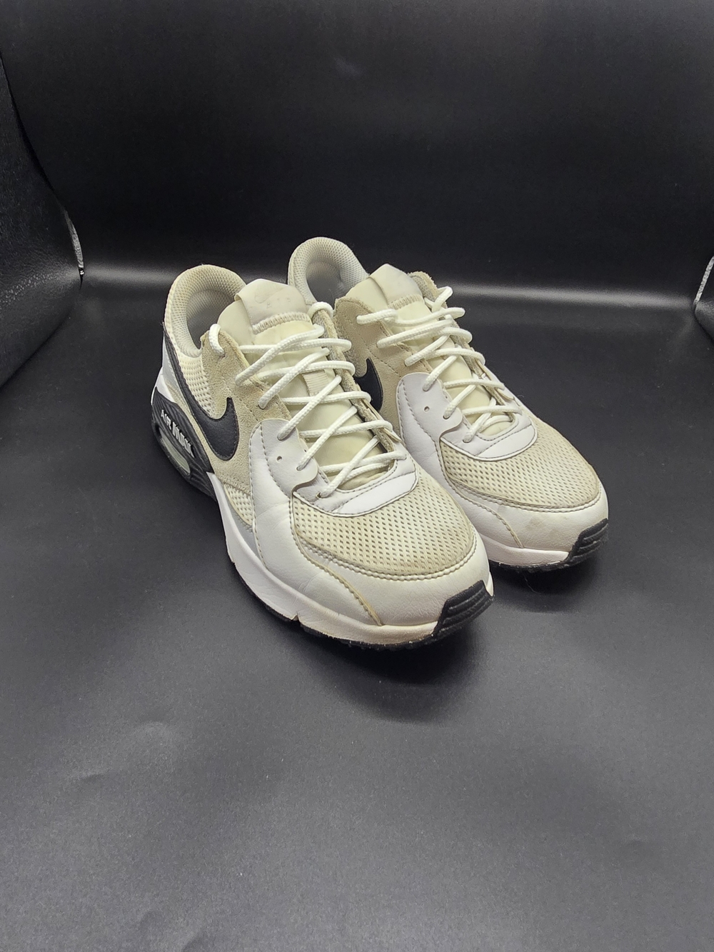 Nike Air Max Sneakers